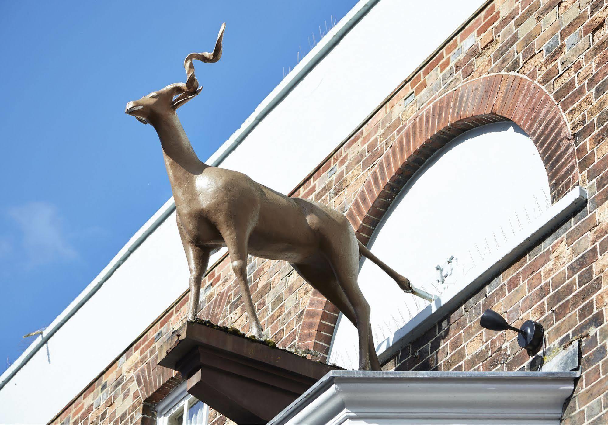Antelope By Greene King Inns Poole Exterior photo